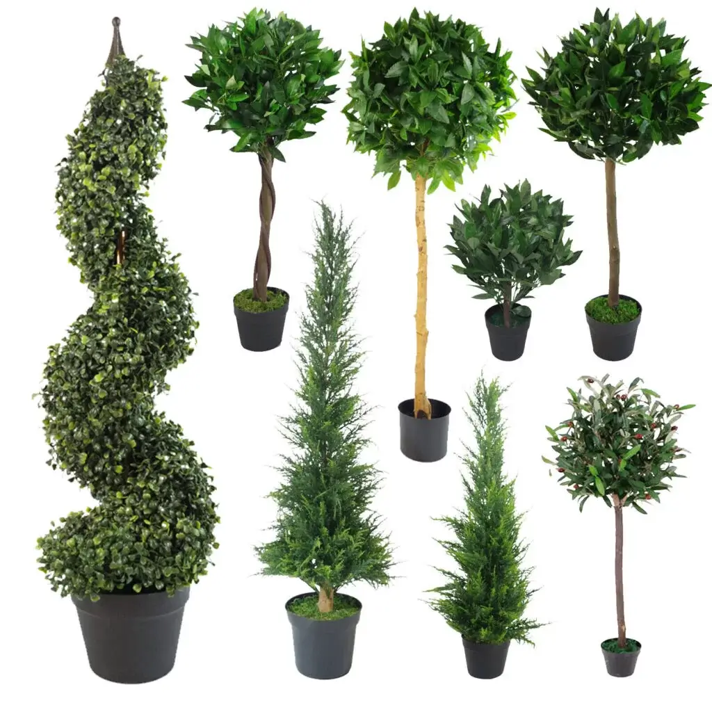 Topiary Rentals TOPIARY TREE - Dunktankrentals